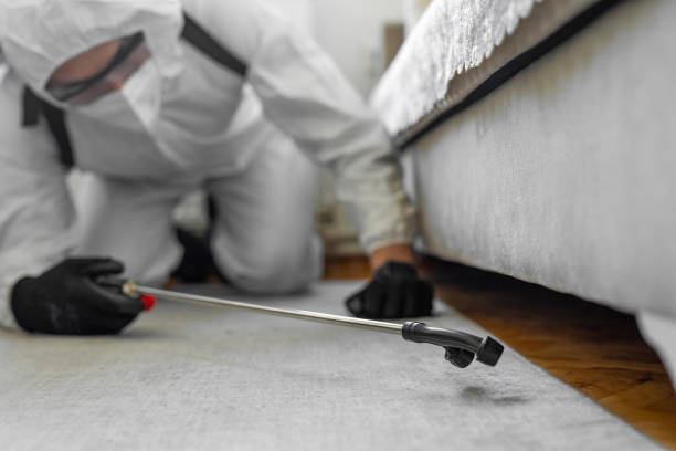 Professional Bed Bug Control technician working in Sedgwick County County, CO
